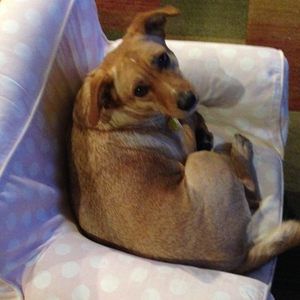 Meet your Posher, Caroline